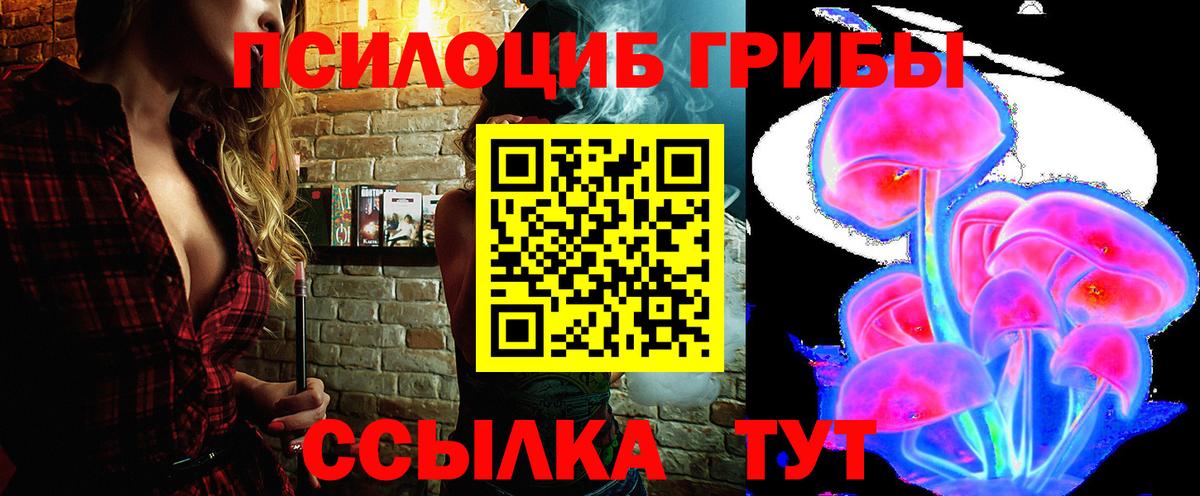 Псилоцибиновые грибы MAGIC MUSHROOMS  Псилоцибиновые грибы MAGIC MUSHROOMS  где купить наркотик  Вход с VPN  Сокол 
