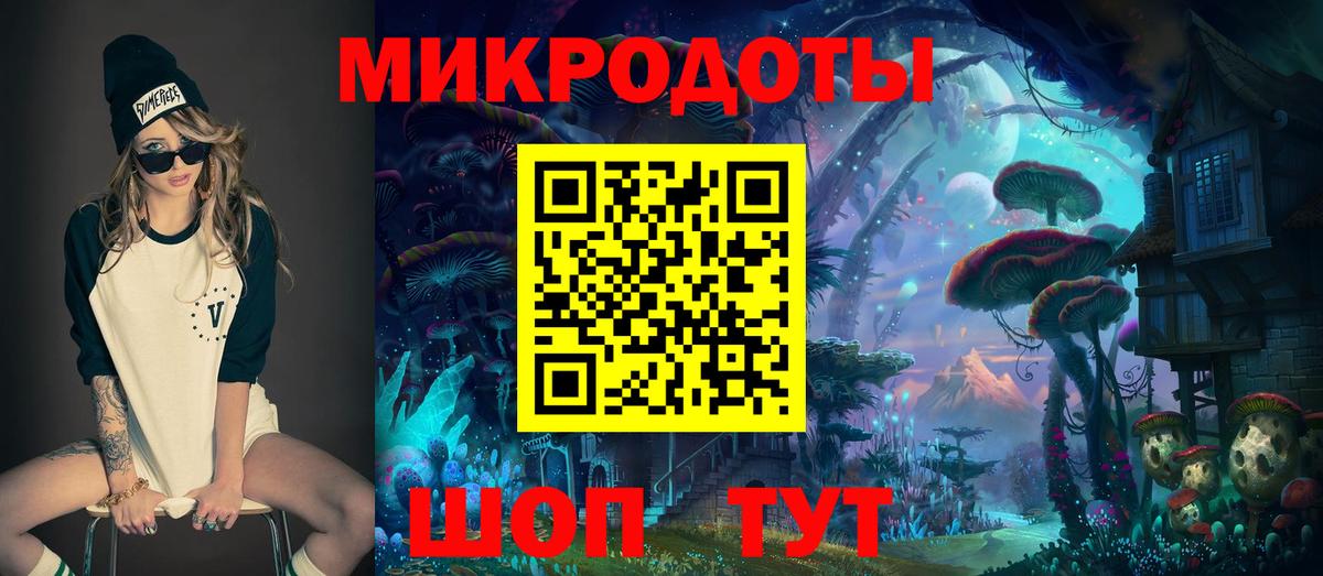 Псилоцибиновые грибы прущие грибы Сокол